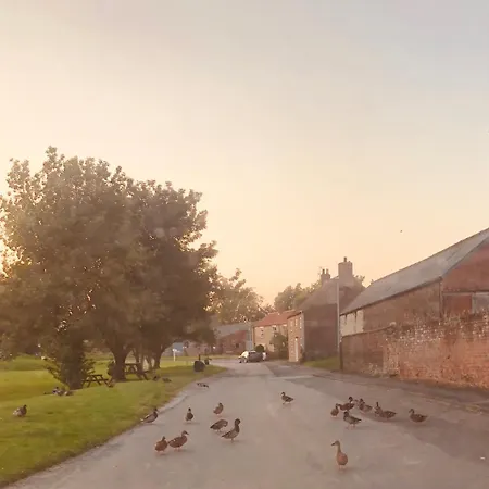 Village Barn Conversion Near Holiday home *